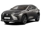 Ворсовые коврики на Lexus NX II 2021 - 2025 в Чите