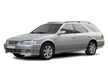 Ворсовые коврики на Toyota Camry Gracia (XV20) 1996 - 2001 в Чите