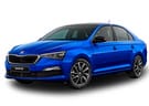Коврики на Skoda Rapid II 2019 - 2025 в Чите