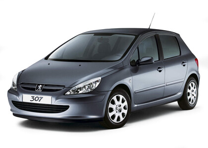 EVA коврики на Peugeot 307 2001 - 2008 в Чите