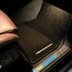 Коврики на BMW X5 (G05/G18) 2018 - 2025 в Чите