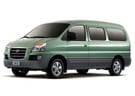 Ворсовые коврики на Hyundai Starex 1996 - 2007 в Чите