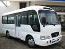 Коврики на Hyundai County 2006 - 2016 в Чите