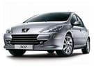 Ворсовые коврики на Peugeot 307 2001 - 2008 в Чите