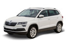 EVA коврики на Skoda Karoq 2017 - 2025 в Чите