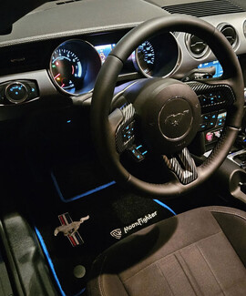 EVA коврики на Ford Mustang VI 2013 - 2023 в Чите EVA коврики на Ford Mustang VI 2013 - 2023 в Чите