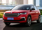 Коврики на Skoda Kamiq 2018 - 2025 в Чите