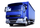 EVA коврики на DAF LF 2001 - 2025 в Чите