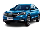Коврики на Skoda Kamiq 2018 - 2025 в Чите