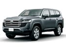 EVA коврики на Toyota Land Cruiser 300 2021 - 2025 в Чите