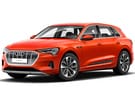 Коврики на Audi Q8 e-tron 2022 - 2025 в Чите