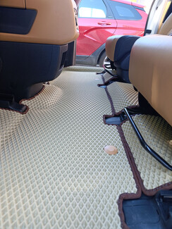 Коврики на KIA Carnival IV 11 мест 2020&nbsp;-&nbsp;2025 в Чите