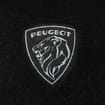 Коврики на Peugeot Expert II 2007 - 2017 в Чите